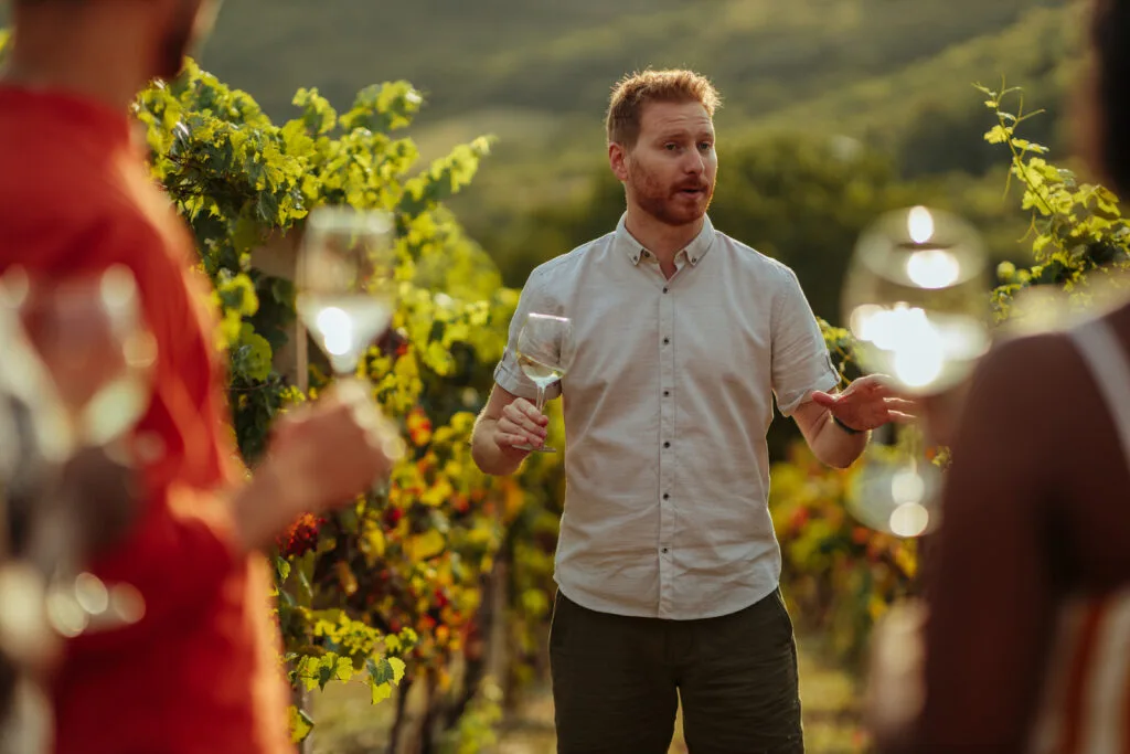 Homme dans les vignes