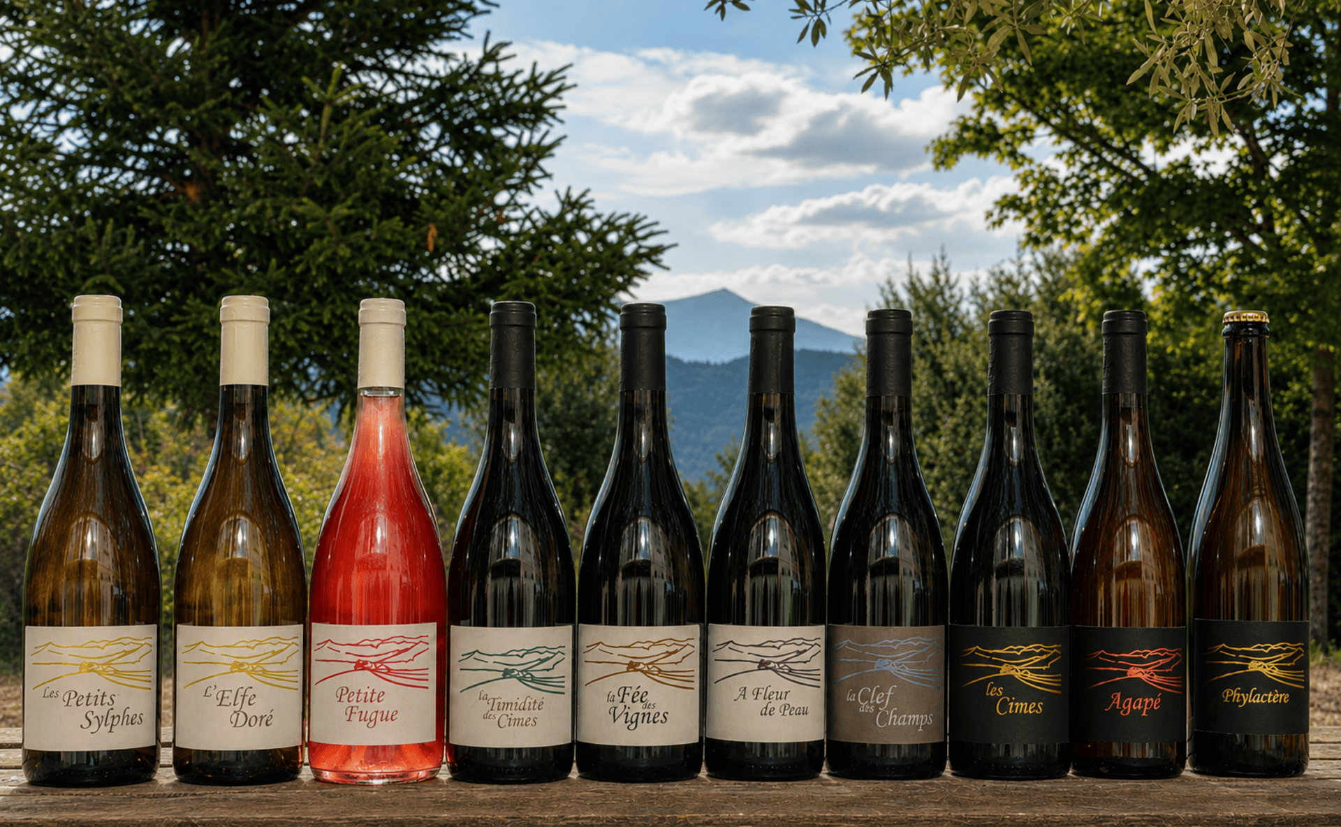 Bouteilles de vins